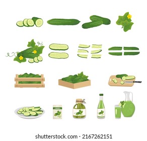 Cucumber icon and product from it. Healthy food, green vegetable, whole and sliced, in box, on plate. Salty eat in jar, food preservation. Cucumber juice in bottle, glass and jug. Vector illustration