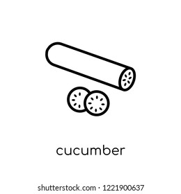 cucumber icon. Trendy modern flat linear vector cucumber icon on white background from thin line Fruit and vegetables collection, outline vector illustration