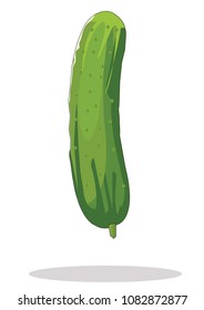 Cucumber icon vector