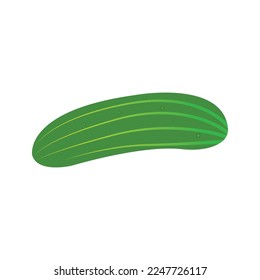 cucumber icon vector illustration symbol design