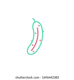 cucumber icon vector illustration two color line style design. isolated on white background