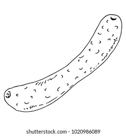 Cucumber icon. Vector illustration of a cucumber vegetable. Hand drawn cucumber.