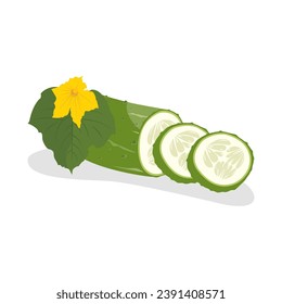Cucumber icon. Whole cucumber, half, chopped, slices. Fresh green cucumbers. Organic vegetables. Healthy, diet, vegetarian food. Vector illustration isolated on white background.