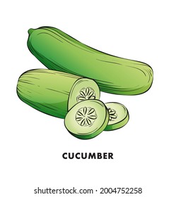 Cucumber Illustration Clipart Vector Design