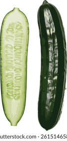 A Cucumber with Illustration file