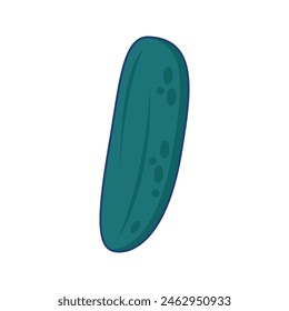 Cucumber Illustration Flat Design Style