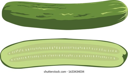 Cucumber Illustration, full and cut in half