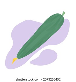 Cucumber illustration isolated on background. Green cucumber