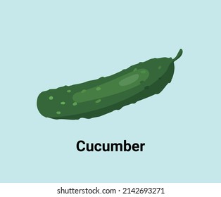 Cucumber illustration set. Vegetable icon, market, store, grocery. Vegetable Vector drawing. Hand drawn style.