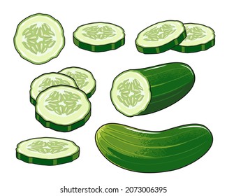 cucumber illustration set vegetable vector collections