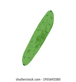 Cucumber illustration with texture in retro style . Vector hand-drawn illustration on isolated background.