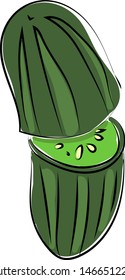 Cucumber, illustration, vector on white background.