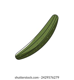 cucumber illustration. vector vegetables white background.