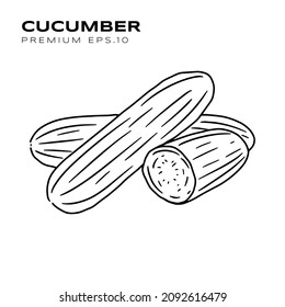 cucumber illustration for vegetarians premium vector