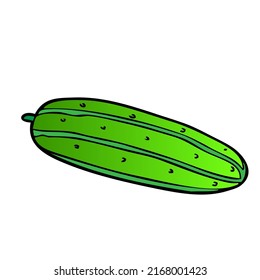 cucumber illustration,isolated on white background,top view