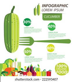 cucumber , infographics. vegetables vector illustration