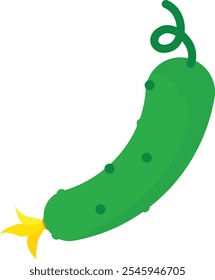 Cucumber, isolated flat illustration in transparent background