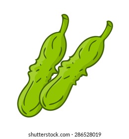 Cucumber isolated illustration on white background