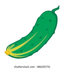 Cucumber. Isolated object. Vector Image.