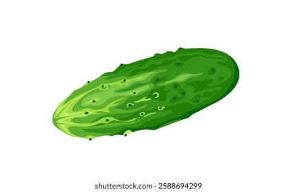 Cucumber isolated on white background.  Vector cartoon flat illustration of fresh vegetable