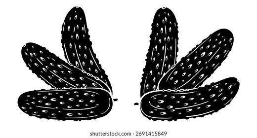Pepino isolado sobre fundo branco. Ilustração de desenho de linha de pepino. Ilustração de alimentos. Contorno de pepino preto e branco. Silhueta de legumes isolada