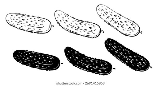 Pepino isolado sobre fundo branco. Ilustração de desenho de linha de pepino. Ilustração de alimentos. Contorno de pepino preto e branco. Silhueta de legumes isolada