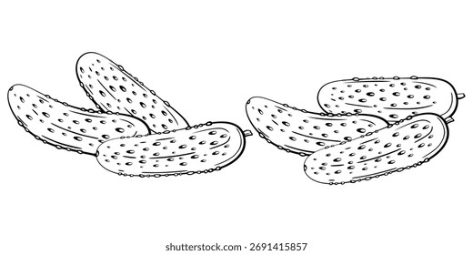 Pepino isolado sobre fundo branco. Ilustração de desenho de linha de pepino. Ilustração de alimentos. Contorno de pepino preto e branco. Silhueta de legumes isolada