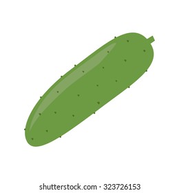 Cucumber isolated on white background.  Vector illustration. Flat design