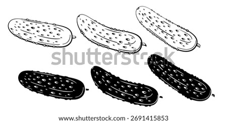 Cucumber isolated on white background. Cucumber Line Drawing Illustration. Food Illustration. Cucumber outline black and white. Vegetables silhouette isolated
