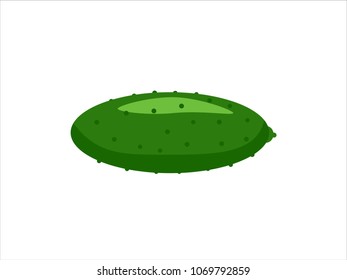 Cucumber isolated on white. Vector illustration
