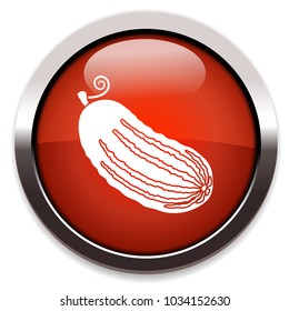 cucumber isolated vector icon