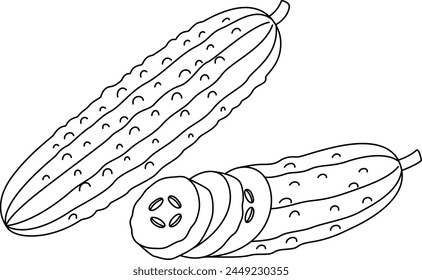 Cucumber Isolated Vector Illustration Coloring Page Hand Drawn for Kids