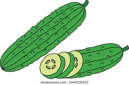 Cucumber Isolated Vector Illustration Hand Drawn 