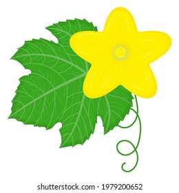 Cucumber or kiwano green leaf with yellow flower and cirrus isolated on white background. Cartoon style. Vector illustration for any design.