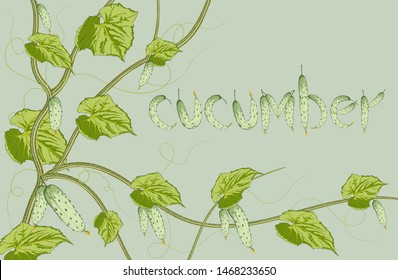 cucumber and leaf design with lettering cucumber background.