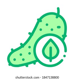 Cucumber Leaf Icon Vector. Outline Cucumber Leaf Sign. Isolated Contour Symbol Illustration