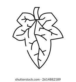 cucumber leaf line icon vector. cucumber leaf sign. isolated contour symbol black illustration