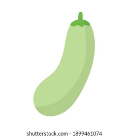 cucumber with a light green color vector illustration design