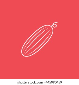 Cucumber Line Icon On Red Background