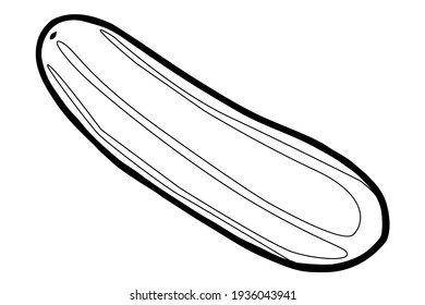 ilustración vectorial de línea de pepino,
aislado en fondo blanco.vista superior