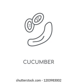 Cucumber linear icon. Cucumber concept stroke symbol design. Thin graphic elements vector illustration, outline pattern on a white background, eps 10.