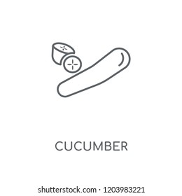 Cucumber linear icon. Cucumber concept stroke symbol design. Thin graphic elements vector illustration, outline pattern on a white background, eps 10.