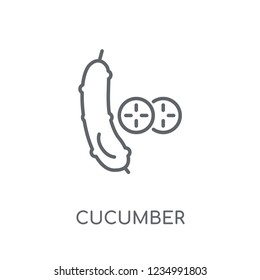 Cucumber linear icon. Modern outline Cucumber logo concept on white background from Fruits and vegetables collection. Suitable for use on web apps, mobile apps and print media.