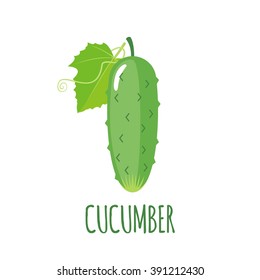 Cucumber logo in flat style. Cucumber icon. Isolated object. Vegetable from the garden. Organic food. Vector illustration. 