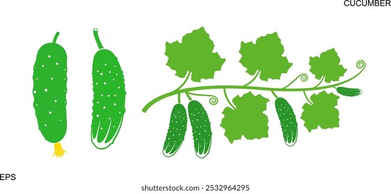 Logotipo del pepino. Pepino aislado sobre fondo blanco