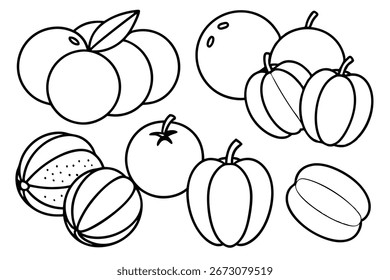 cucumber melon line art abstract botanical illustration design