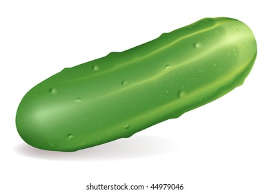 Cucumber, mesh