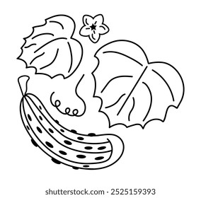 Pepino con bigote, hojas de pepino y flor, ícono de Vector. Logotipo.