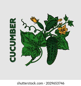 Cupetero en una rama con hojas. Vector.