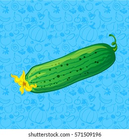 cucumber on color blue background. vector illustration. part of collection